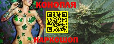Альфа ПВП Ливны