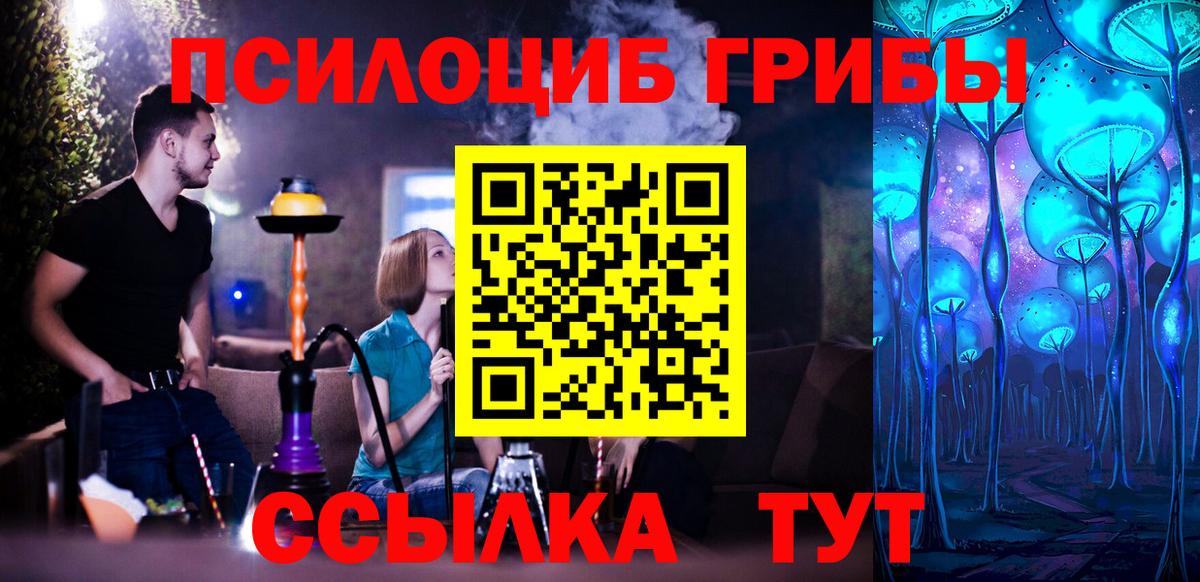 Выборг  Галлюциногенные грибы Psilocybe  закладки  Вход с VPN  Галлюциногенные грибы Magic Shrooms 