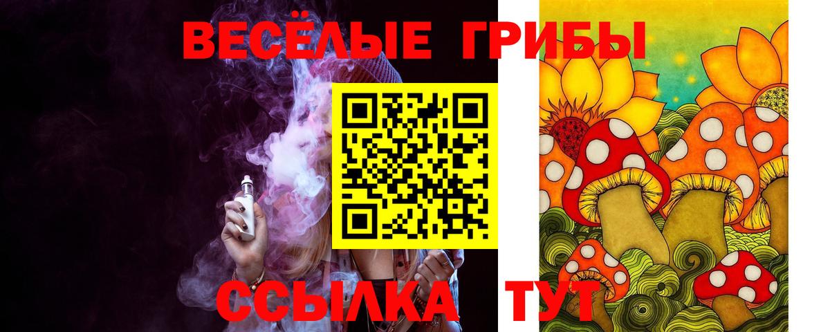Псилоцибиновые грибы Psilocybine cubensis Выборг